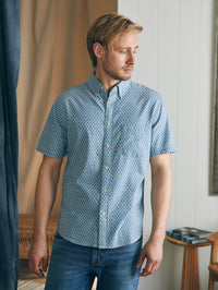 FISH SCALE REDUX