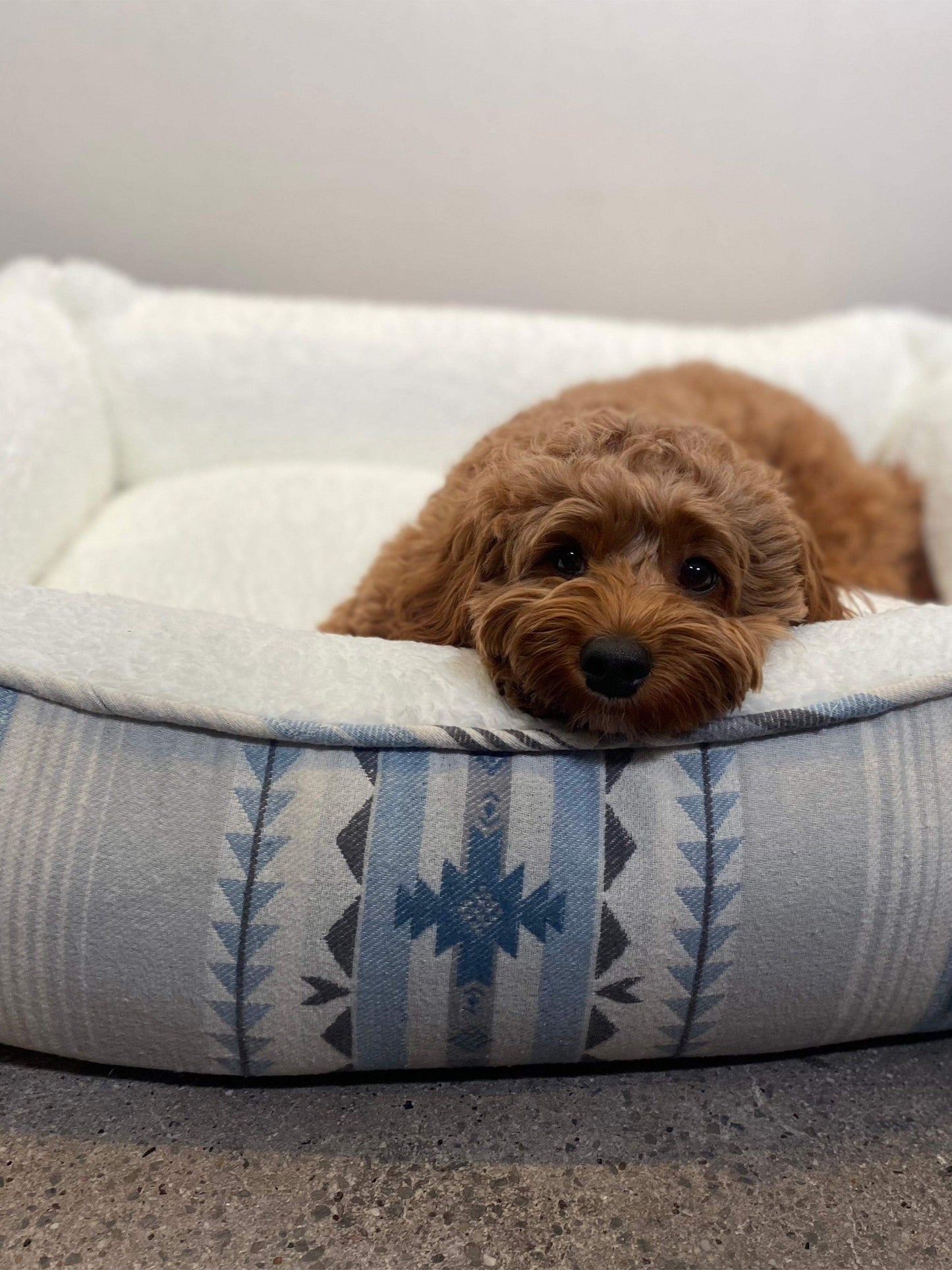 Doug Good Feather Dog Bed (Small) - Glacier Sky