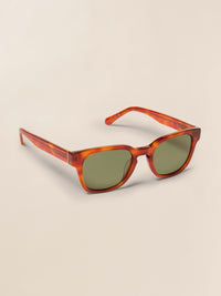 Amber Tortoise